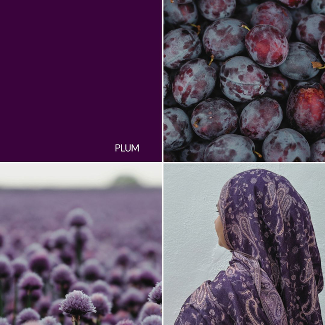 Pashmina