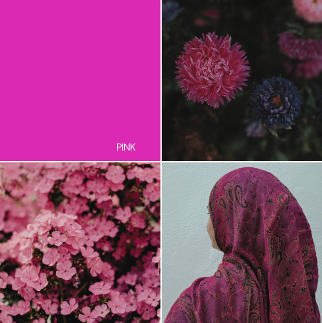 Pashmina