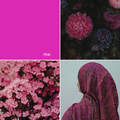 Pashmina